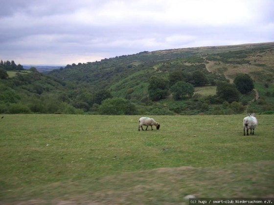 Devon 2006