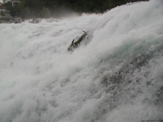 2006-07-22_30 - Rheinfall Schaffhausen