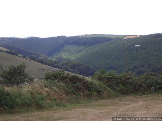 Devon 2006