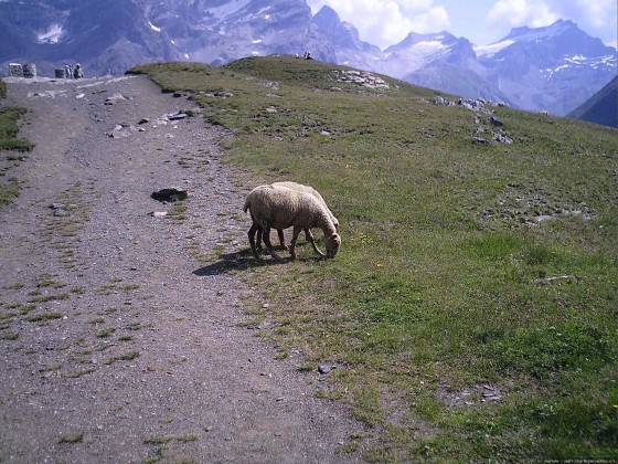 2006-07-15_21 - Router des Grandes Alpes