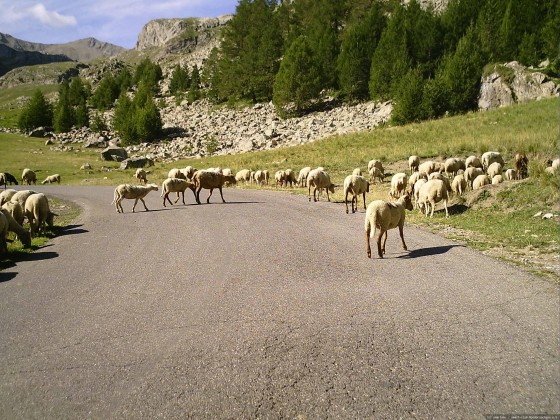 2006-07-15_21 - Router des Grandes Alpes