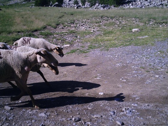 2006-07-15_21 - Router des Grandes Alpes