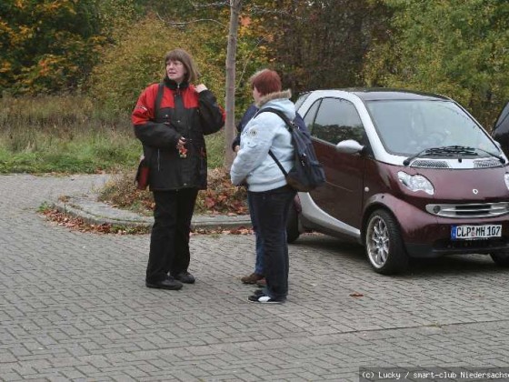 2008-10-19 Der Norden smartet ab