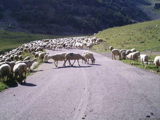 2006-07-15_21 - Router des Grandes Alpes