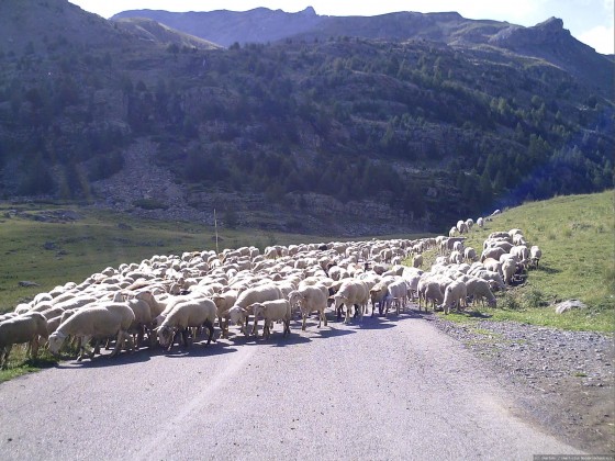 2006-07-15_21 - Router des Grandes Alpes